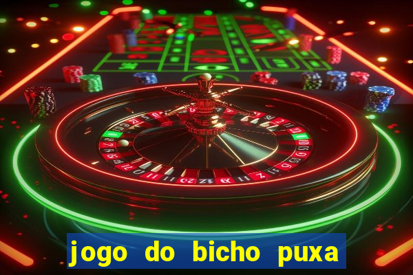 jogo do bicho puxa de dona maria